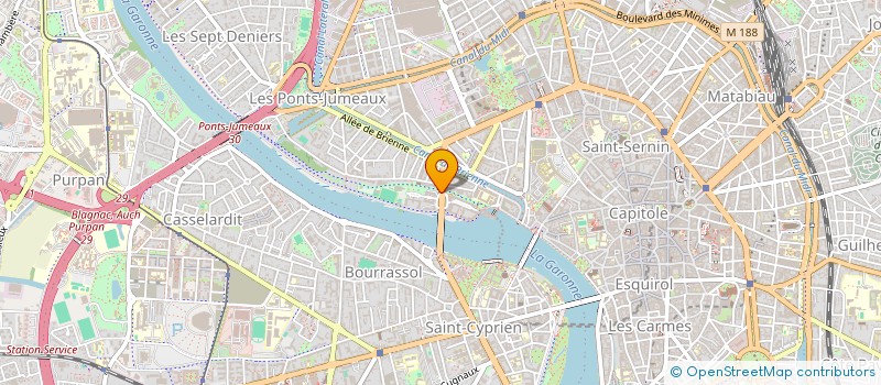 localisation de l'entreprise MONSIEUR REMI PUYUELO à TOULOUSE
