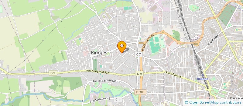 localisation de l'entreprise MONSIEUR REMI ROCHE à RIORGES