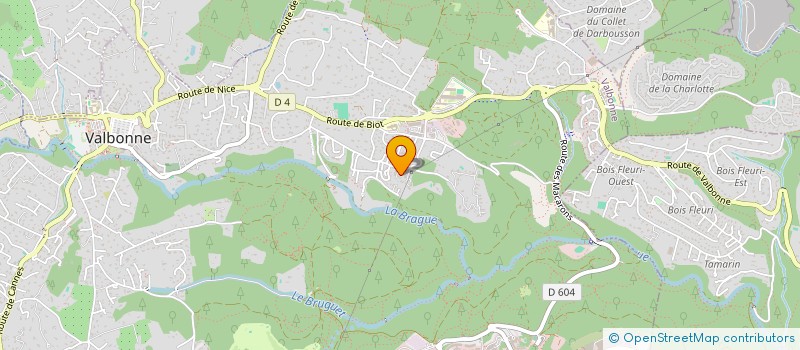 localisation de l'entreprise MONSIEUR REMI RONCHAUD à VALBONNE