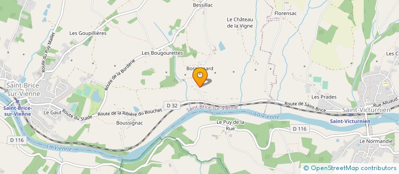 localisation de l'entreprise MONSIEUR REMI RONCIN  SAINT-BRICE-SUR-VIENNE