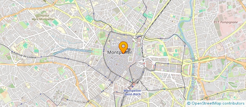 localisation de l'entreprise MONSIEUR REMI SANCHEZ  MONTPELLIER