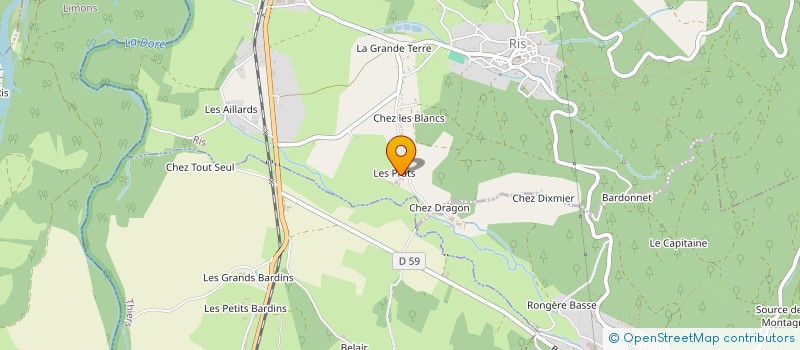 localisation de l'entreprise MONSIEUR REMI THOMAS à RIS