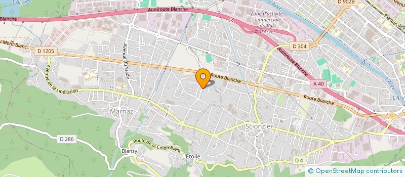 localisation de l'entreprise MONSIEUR REMI TRAVERSAZ  MARNAZ