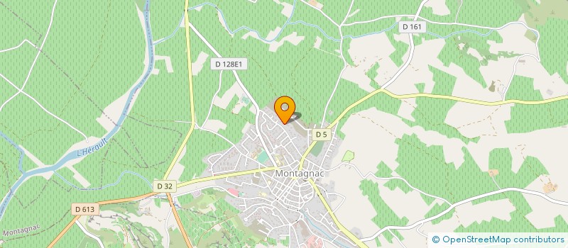 localisation de l'entreprise MONSIEUR REMI TRAVES  MONTAGNAC