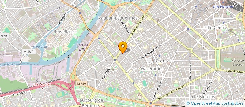 localisation de l'entreprise MONSIEUR REMI VAN RECKEM à LILLE