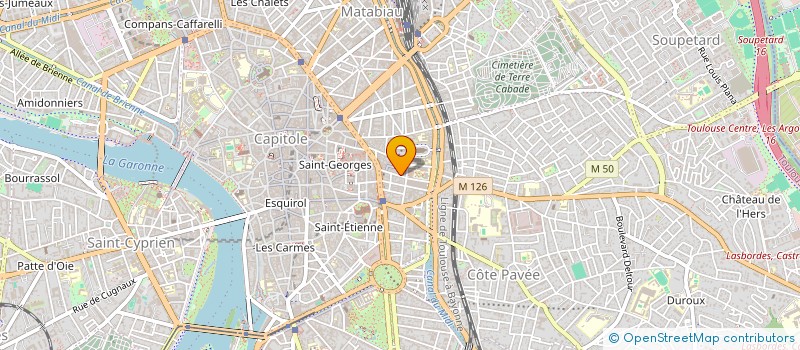 localisation de l'entreprise MONSIEUR REMI VASTEL  TOULOUSE