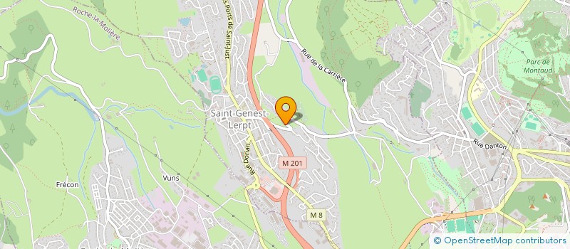 localisation de l'entreprise MONSIEUR REMI VAUDOIRE  ROCHE-LA-MOLIERE