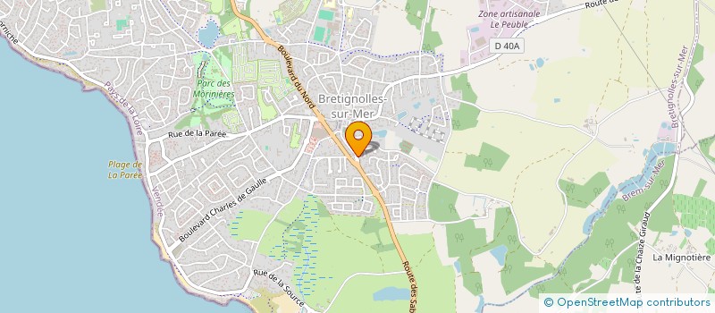 localisation de l'entreprise MONSIEUR REMI VERBAEYS  BRETIGNOLLES-SUR-MER