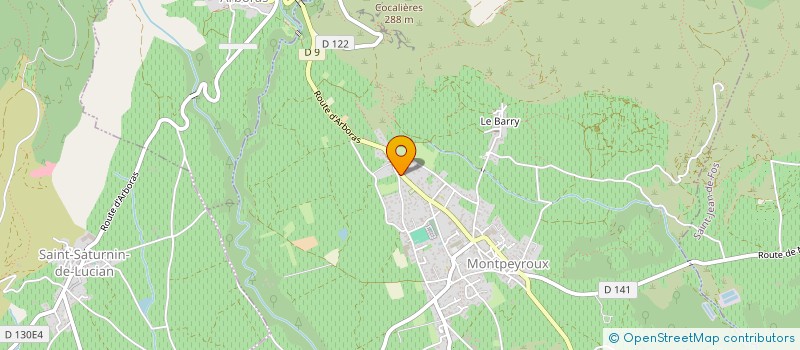 localisation de l'entreprise MONSIEUR REMI VIDAL à MONTPEYROUX