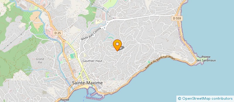 localisation de l'entreprise MONSIEUR REMI VILLENEUVE à SAINTE-MAXIME