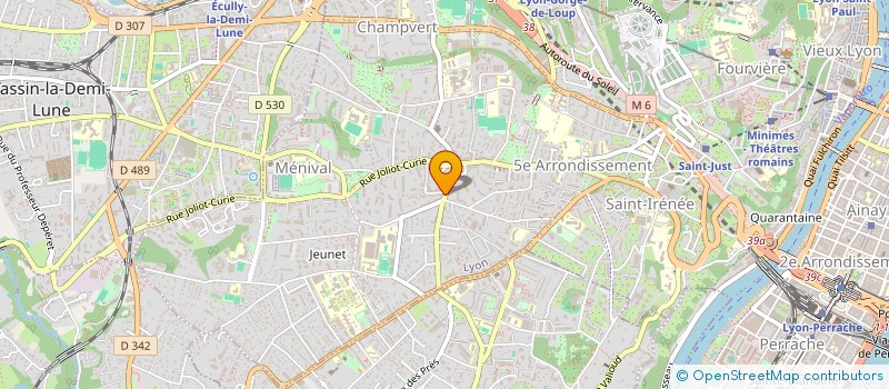 localisation de l'entreprise MONSIEUR REMO ANGELUCCI à LYON
