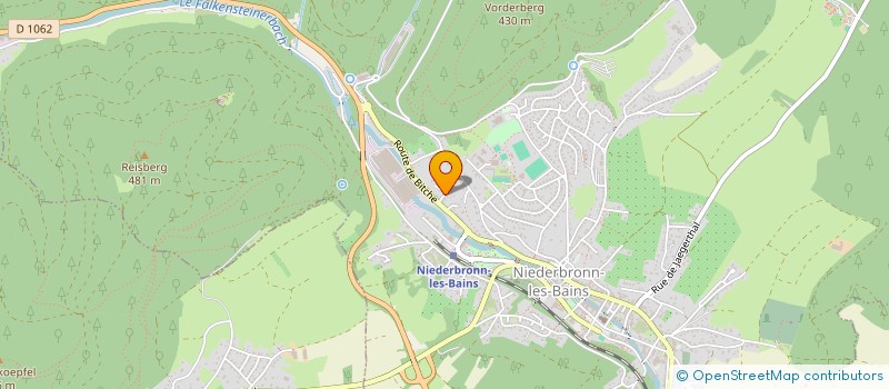 localisation de l'entreprise MONSIEUR REMY ALBER  NIEDERBRONN-LES-BAINS