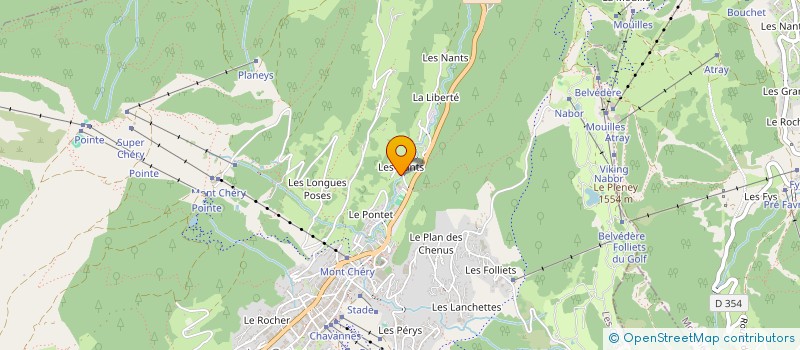 localisation de l'entreprise MONSIEUR REMY ANTHONIOZ  LES GETS