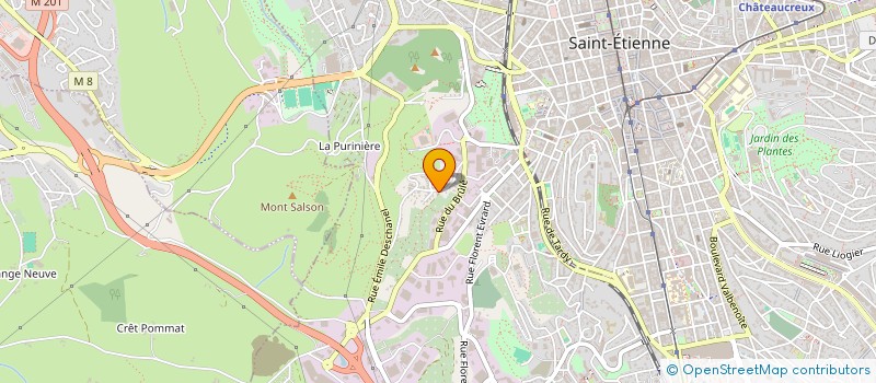 localisation de l'entreprise MONSIEUR REMY ANTHOUARD  SAINT-ETIENNE