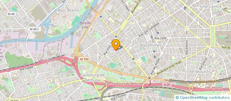 localisation de l'entreprise MONSIEUR REMY BAUDELLE à LILLE