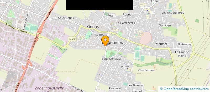 localisation de l'entreprise MONSIEUR REMY BONNET  GENAS