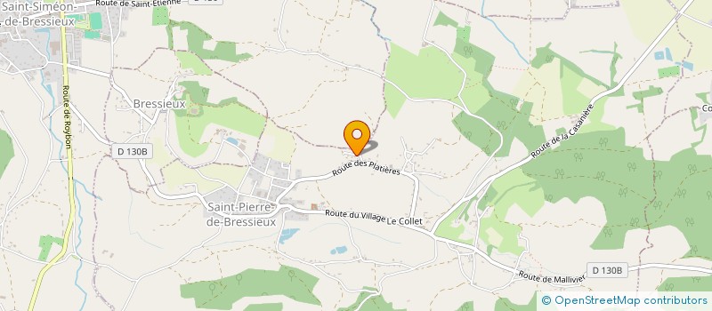 localisation de l'entreprise MONSIEUR REMY BOUVIER à SAINT-PIERRE-DE-BRESSIEUX