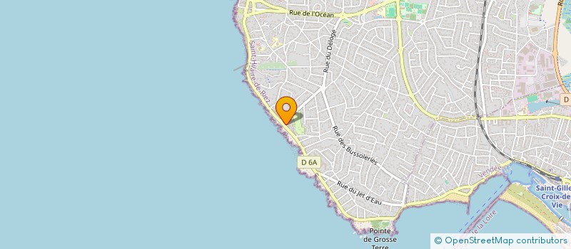 localisation de l'entreprise MONSIEUR REMY BRIZION à SAINT-HILAIRE-DE-RIEZ