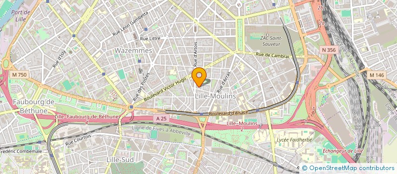 localisation de l'entreprise MONSIEUR REMY BUYSE à LILLE