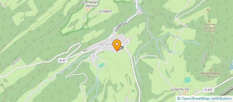 localisation de l'entreprise MONSIEUR REMY CERF  LES GRAS