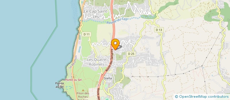 localisation de l'entreprise MONSIEUR REMY DELAHAYE  SAINT-LEU