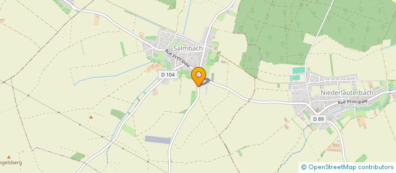 localisation de l'entreprise MONSIEUR REMY FORSTER  SALMBACH