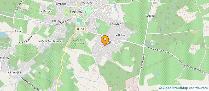 localisation de l'entreprise MONSIEUR REMY FOURRIER  LEOGNAN