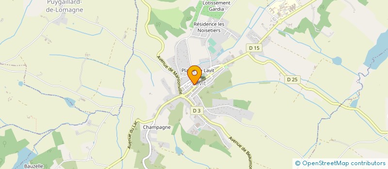 localisation de l'entreprise MONSIEUR REMY HOARAU à LAVIT