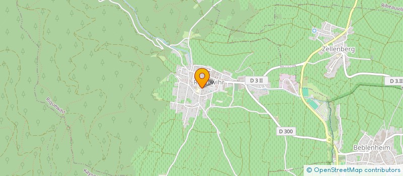 localisation de l'entreprise MONSIEUR REMY JUNG  RIQUEWIHR