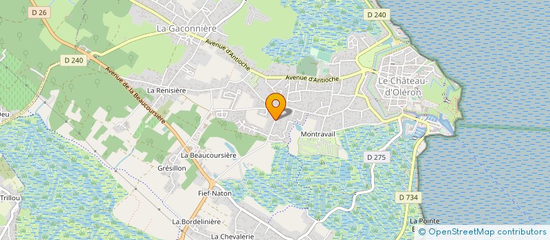 localisation de l'entreprise MONSIEUR REMY MACHEFERT à LE CHATEAU-D'OLERON