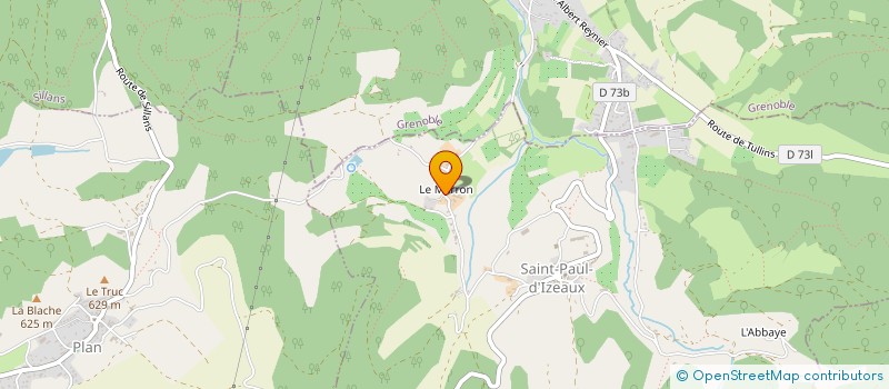 localisation de l'entreprise MONSIEUR REMY MALLEIN  SAINT-PAUL-D'IZEAUX