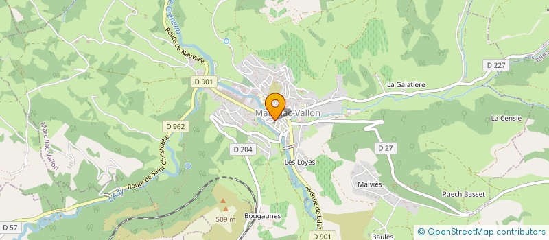 localisation de l'entreprise MONSIEUR REMY MATHIEU  SALLES-LA-SOURCE