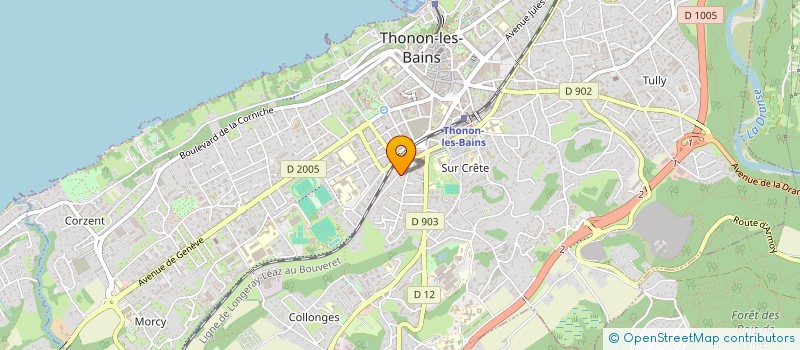 localisation de l'entreprise MONSIEUR REMY MERCIER à THONON-LES-BAINS