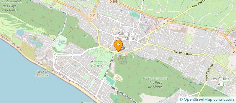 localisation de l'entreprise MONSIEUR REMY MILCENT  SAINT-JEAN-DE-MONTS