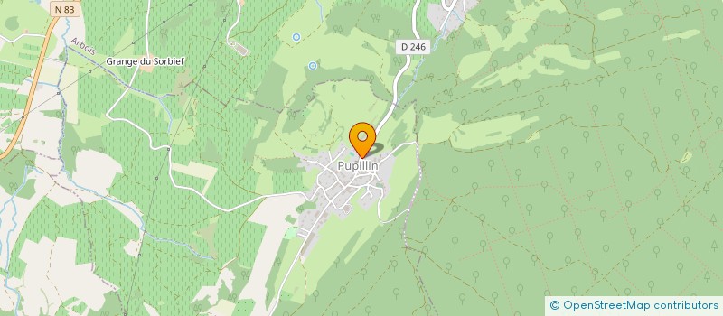 localisation de l'entreprise MONSIEUR REMY PIANET  PUPILLIN