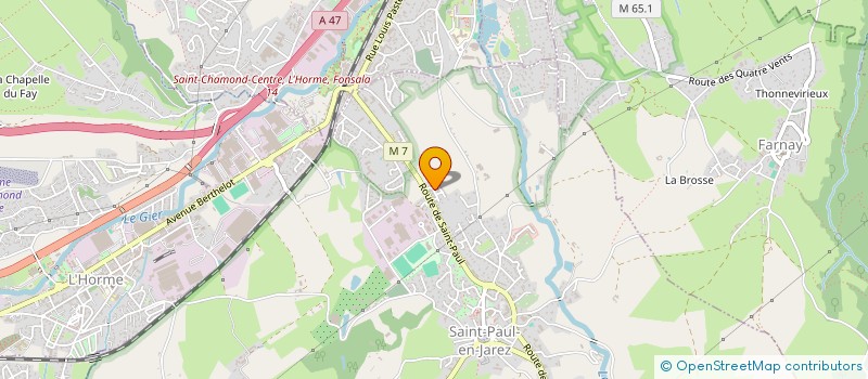 localisation de l'entreprise MONSIEUR REMY PIEGAY  SAINT-PAUL-EN-JAREZ