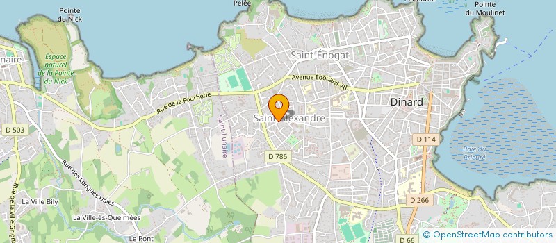 localisation de l'entreprise MONSIEUR REMY PIET  DINARD