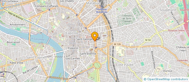 localisation de l'entreprise MONSIEUR REMY PIGNOL à TOULOUSE