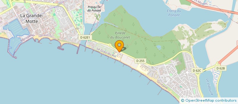 localisation de l'entreprise MONSIEUR REMY PUIG  LE GRAU-DU-ROI