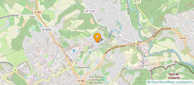 localisation de l'entreprise MONSIEUR REMY RITTLING  CASTELNAU-LE-LEZ