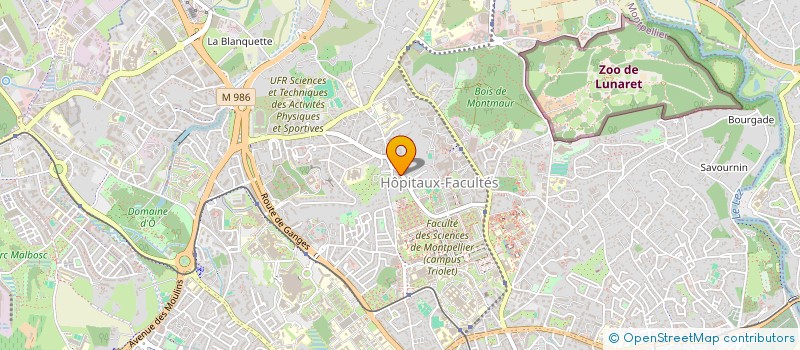 localisation de l'entreprise MONSIEUR REMY RODRIGUE à MONTPELLIER