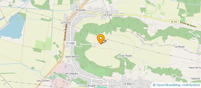 localisation de l'entreprise MONSIEUR REMY ROLLAND  SAINT-SAVIN