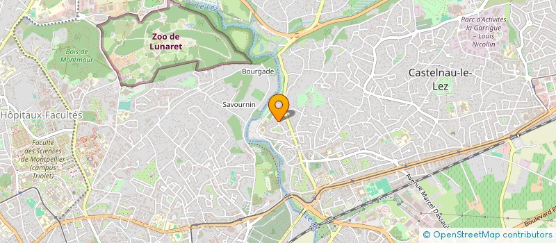 localisation de l'entreprise MONSIEUR REMY ROUVIERE à CASTELNAU-LE-LEZ
