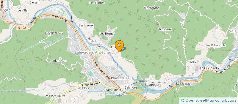 localisation de l'entreprise MONSIEUR REMY SALOMON à VALS-LES-BAINS