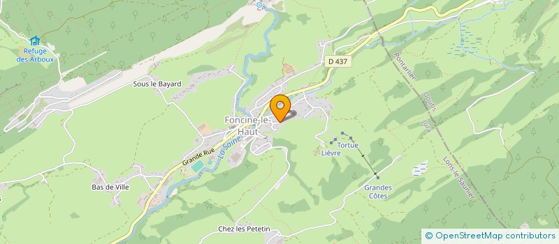 localisation de l'entreprise MONSIEUR REMY TRACHSEL  FONCINE-LE-HAUT