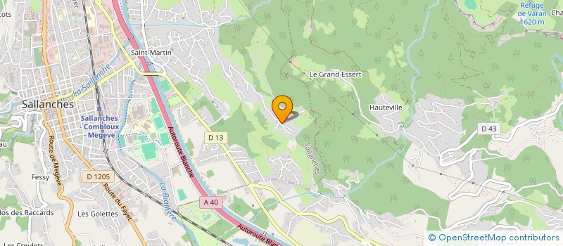 localisation de l'entreprise MONSIEUR REMY VONFELD  SALLANCHES