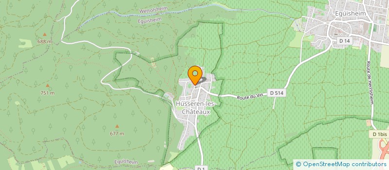 localisation de l'entreprise MONSIEUR REMY WISSLER  HUSSEREN-LES-CHATEAUX