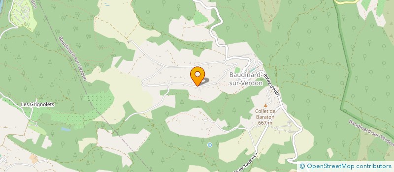 localisation de l'entreprise MONSIEUR REMY ZAJONZ à BAUDINARD-SUR-VERDON