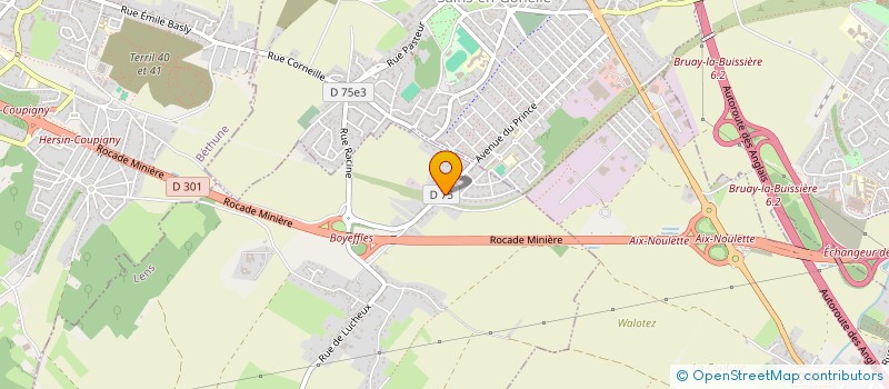 localisation de l'entreprise MONSIEUR RENALD LISS  BOUVIGNY-BOYEFFLES