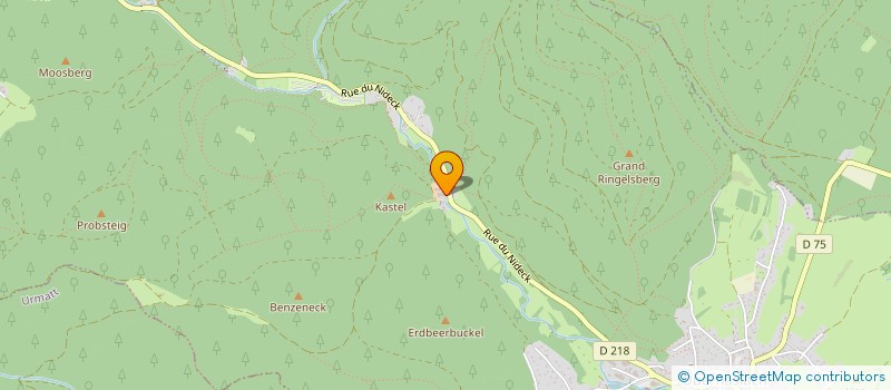 localisation de l'entreprise MONSIEUR RENATO AUGUSTO DOS SANTOS  OBERHASLACH